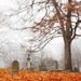 photography / cemetery, graveyard, fall, gothic, victorian 1852, 8 x 8 print