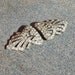 Dress Clips From Late Art Nouveau to Early Art Deco