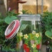 Arc France Strawberry Mason Jar Canister