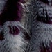 GaGa Deep Wine Feather Fur to Die For. . . Special Collection with Free Shipping ! !