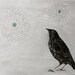 Print of painting 'Birds' choice'
