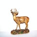 40s Deer