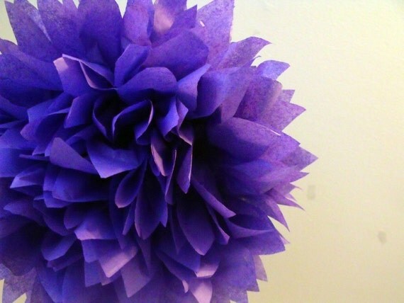 Periwinkle ... 1 Pom Il_570xn