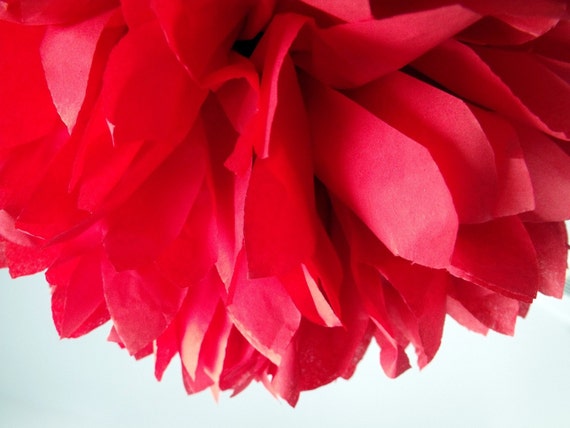cherry ... 1 Pom Il_570xn