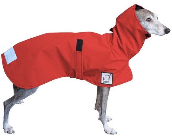 ITALIAN GREYHOUND Rain Coat Dog Coat Rain by VoyagersK9Apparel