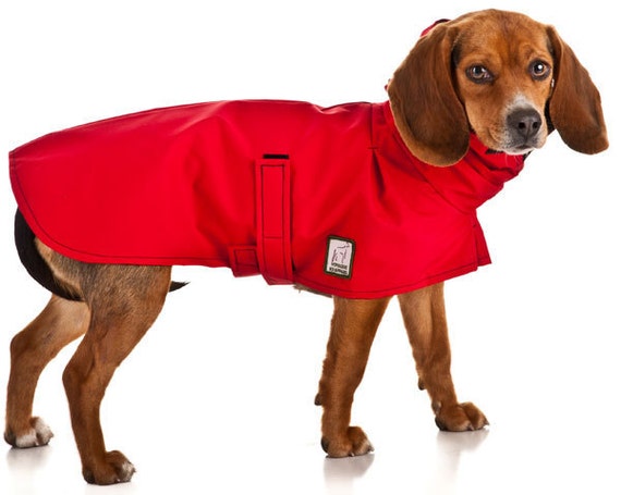 BEAGLE Dog Rain Coat by VoyagersK9Apparel on Etsy