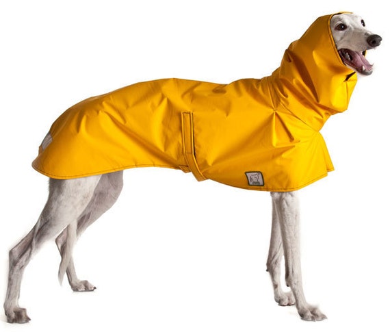 Raincoat by Voyager K9 Apparel, $67
