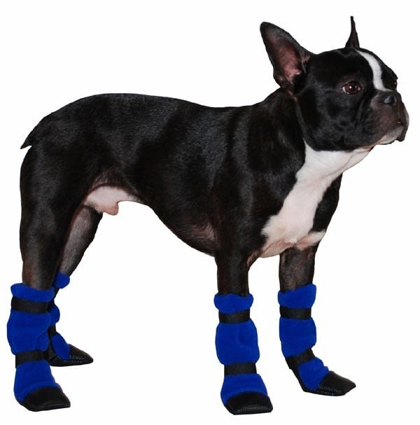 BOSTON TERRIER Dog Booties