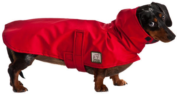 MINIATURE DACHSHUND Dog Rain Coat Dog Coat by MINIATURE DACHSHUND Dog Rain Coat Dog Coat by