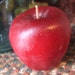 Snow White's Apple in Pure Beeswax