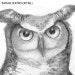 5x7 Matted Art Print of Great Horned Owl Pencil Drawing - Who are you looking at