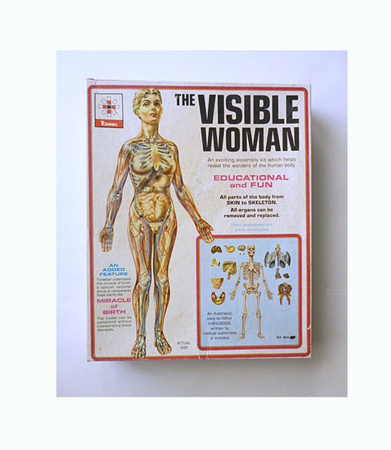 1960 The Visible Woman Model Assembly Kit