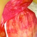 fire ... hand dyed silk scarf