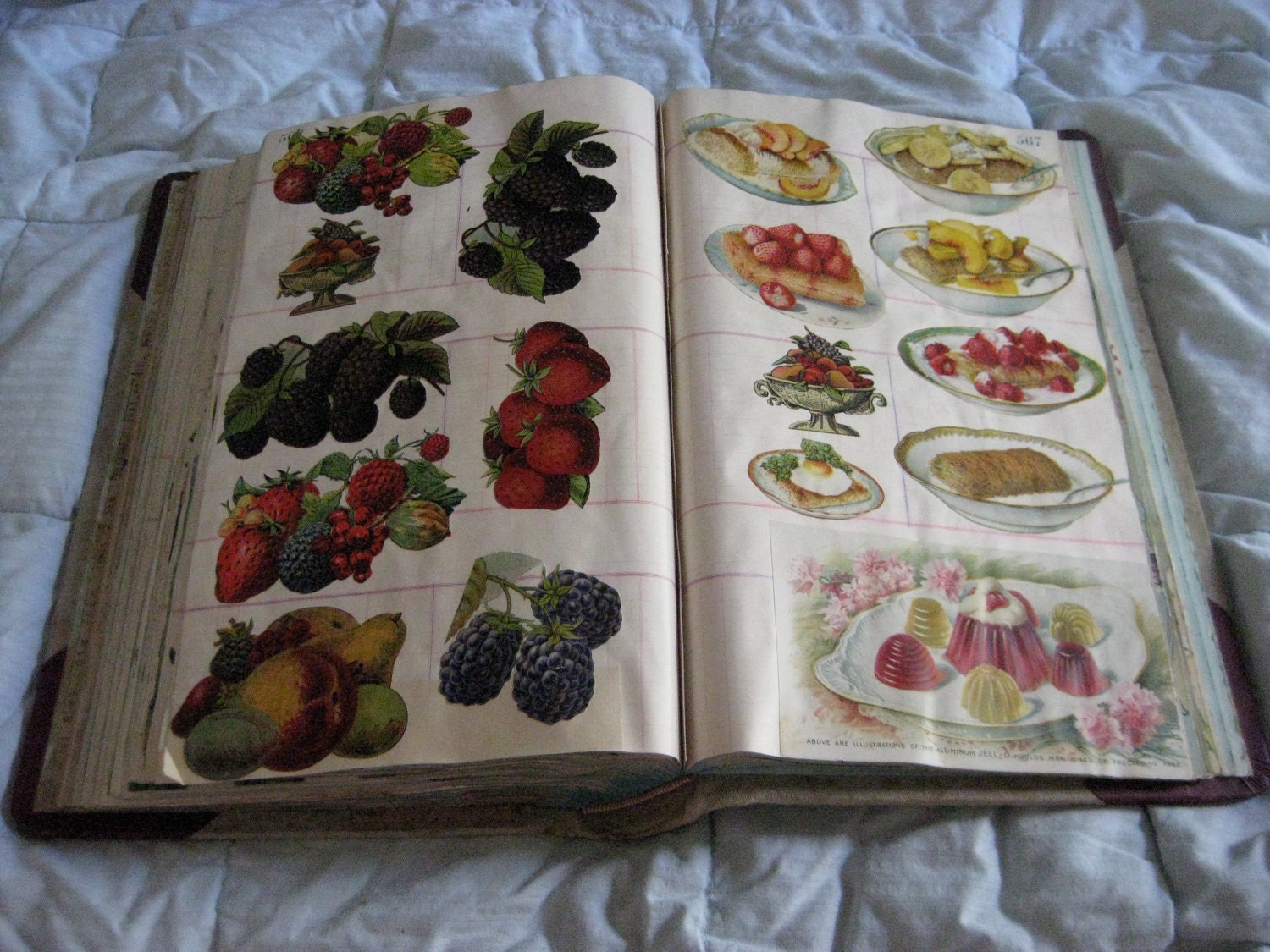 SALE 1899 Antique Victorian Scrapbook Album Die Cuts Trade