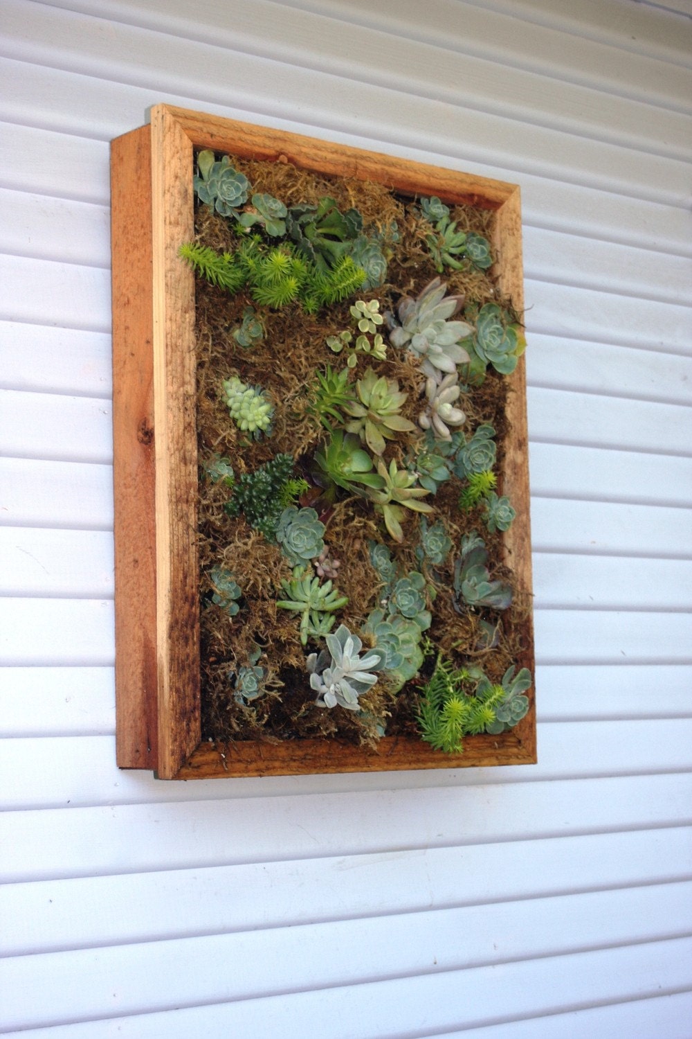 vertical wall hanging box for succulents by seasidegarden on Etsy