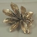 Stunning Goldtone Horse Chestnut Leaf and Chestnut or 'Conker' Brooch