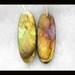 Labradorite Earring Bead,35x12x4mm,7.76g