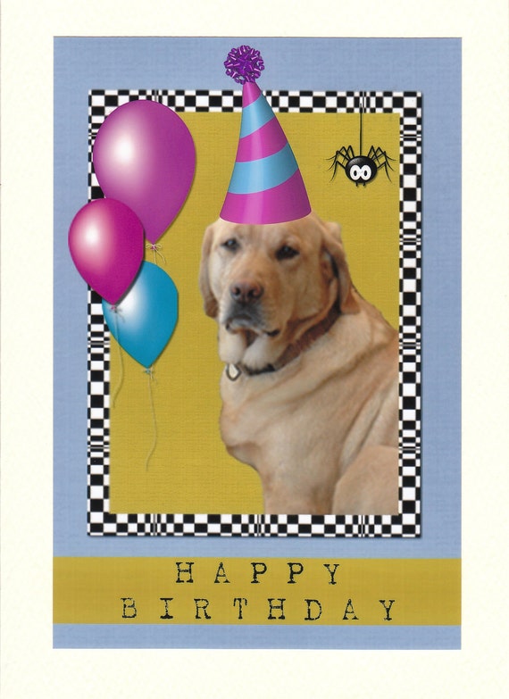 Photographic Greeting Card Yellow Lab Birthday