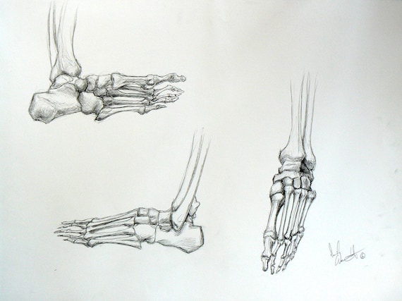 Three Boney Feet Original Pencil Drawing by davelwz04 on Etsy