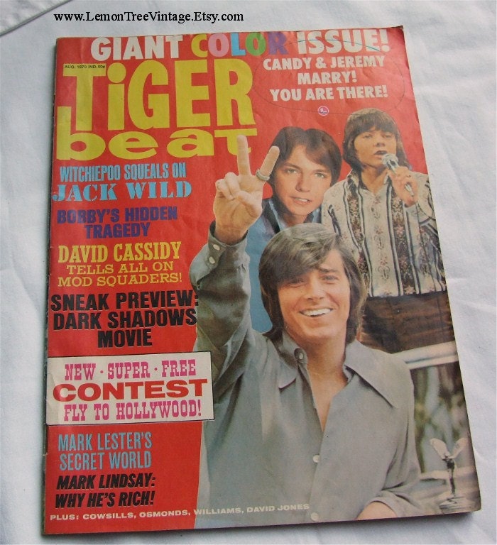 1971 Tiger Beat Magazine The Osmonds David Cassidy Sea 8527