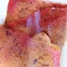 Apple / Strawberry Blend Edible Fruit Leather