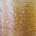 Mango Fruit Leather