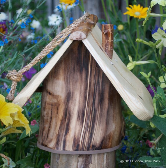 Natural Bird House for small birds