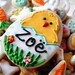 Personalized Easter Chick Vanilla Sugar Cookie w/ a Dozen Mini Easter Cookie NIbbles