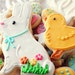 Easter Bunny & Chick Cookie Set w/ a dozen mini Easter Cookie Nibbles