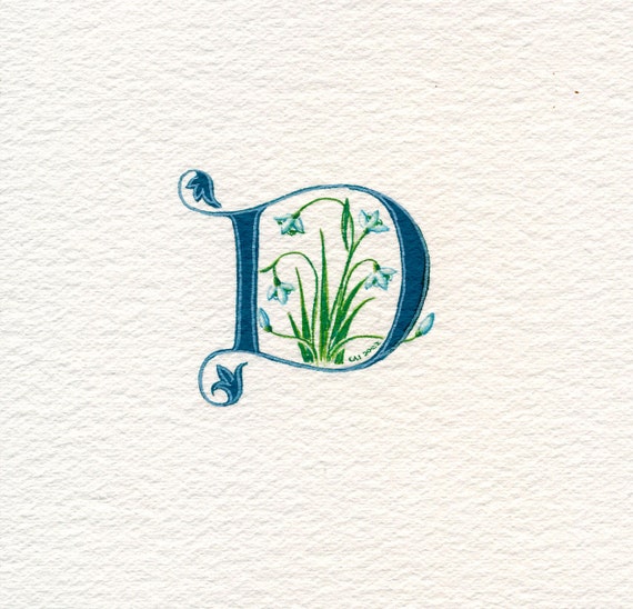 initial letter 'D' in dark green with snowdrops on