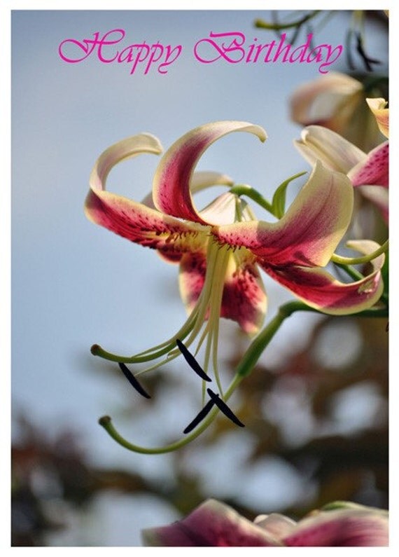 Lily Flower Photo Birthday Card