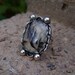 Montana Moss Agate Ring
