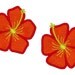 Hibiscus - machine embroidery applique and fill stitch design, instant download - multiple sizes, 4x4, 5x7 and 6x10