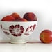 large french vintage cafe au lait bowl, Digoin, with red stencils flowers, Shabby chic