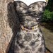 Womens Sheer Apron - Spiderwebs & Orange Plaid