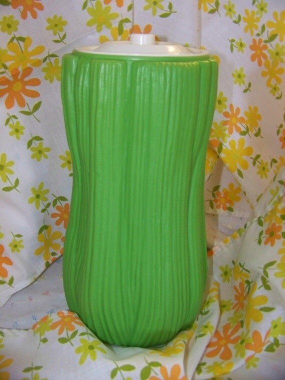 Vintage Plastic Celery Keeper Container