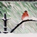 SNOW BIRD original painting - signed by the artist