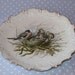 Beautiful Bird Plate Bowl Ornate with Gold Trim Bird Nest and Spring Baby Birds
