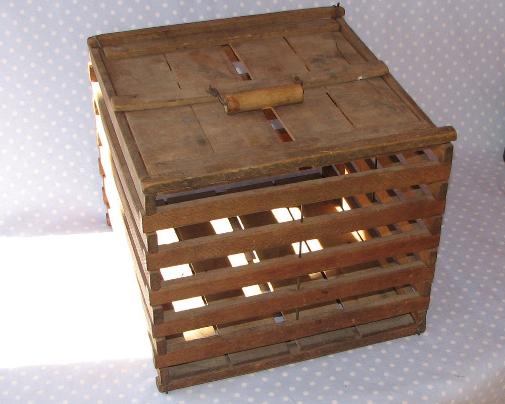 Vintage Antique Wood Egg Crate with Dividers and Lid by PeaPickins