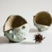 small CHESTNUT BOWL, stoneware sculptural dish, cedar green and beige, handbuilt pottery by karoArt ceramics, Ireland