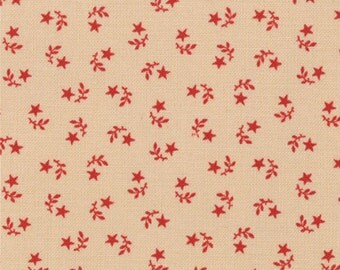 1 Yard of Prairie Paisley II Stars by Minick & Simpson for Moda