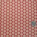 LAST ONE 1 Yard 8" Love Birds by My Minds Eye for Riley Blake, Cranberry Small Dots