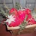 Gathering of Primitive Hand Made Strawberries in Stained Berry Basket with Wire and Twig Handle