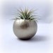 Mini Air Plant Container Pod - Gold // Planter // Home and Garden // Gifts under 20