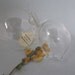 Hanging Glass Globes- Set of Two