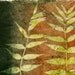 Secret Life of my Garden, ooak gelatin monoprint on handmade paper