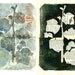 Reserved EAST, Botanical Silhouettes on Vintage Dictionary Sheets and Rice paper