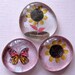Glass Magnets - Pebble- Marble - Spring - Flowers - Butterfly - Garden - Gardening - Gift - Set of 3 - Refrigerator Magnets - Home Decor