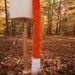 Orange Cat Tail with White Tip