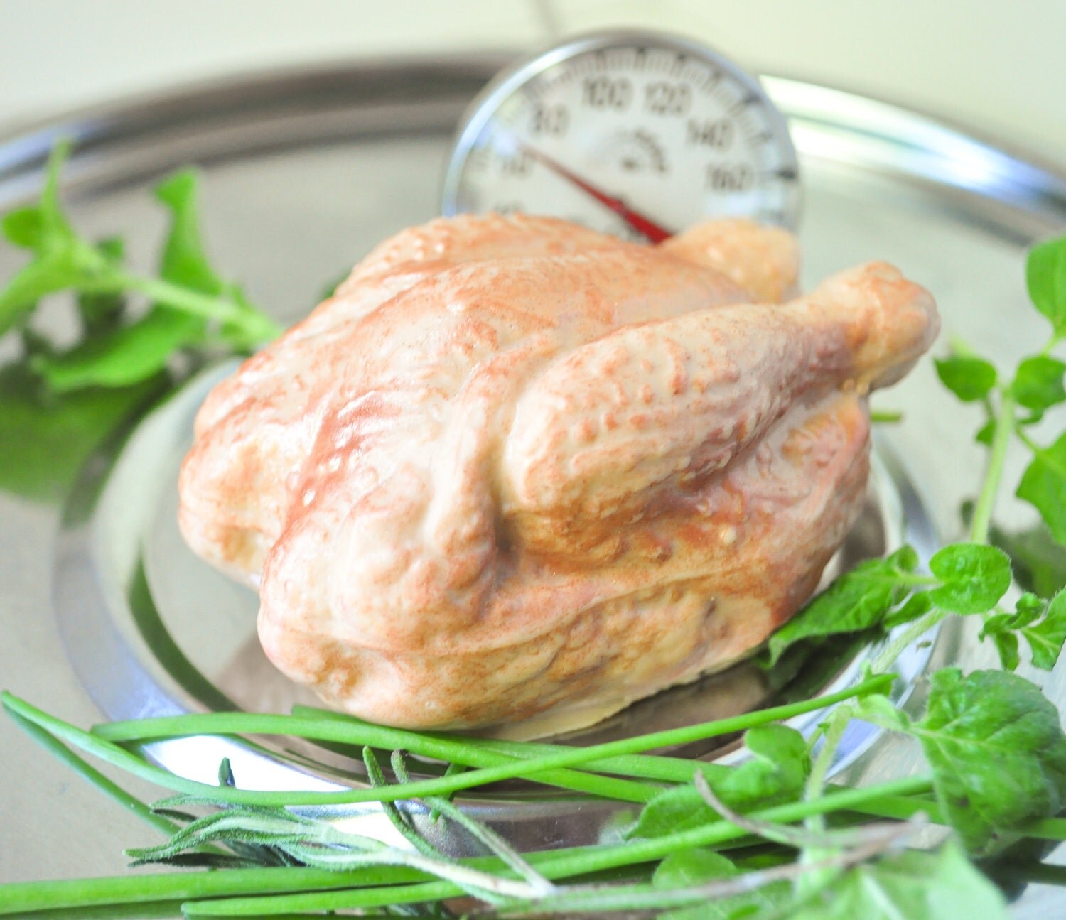 Thanksgiving soap Turkey Soap Vegan Soap by AubreyEApothecary